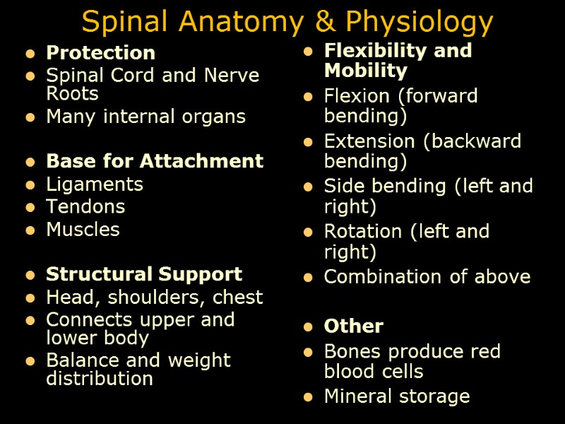 Spinal Anatomy & Physiology Protection Spinal Cord and Nerve Roots  Many internal organs